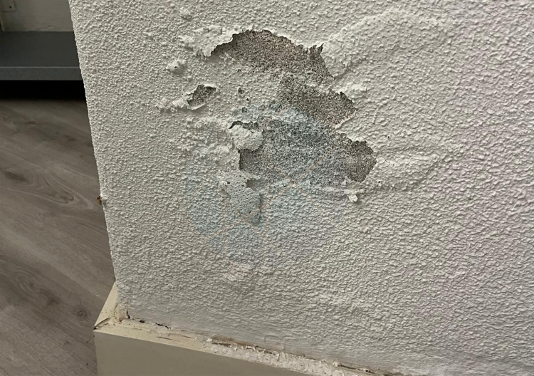 O que é o salitre: causas, composição, consequências e formas de tratamento Nacionalrev